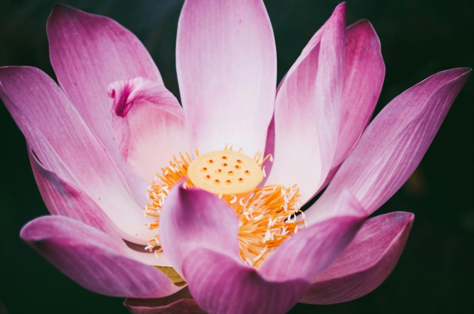 Ambiente di lavoro organizzato con strumenti per la gestione della concentrazione